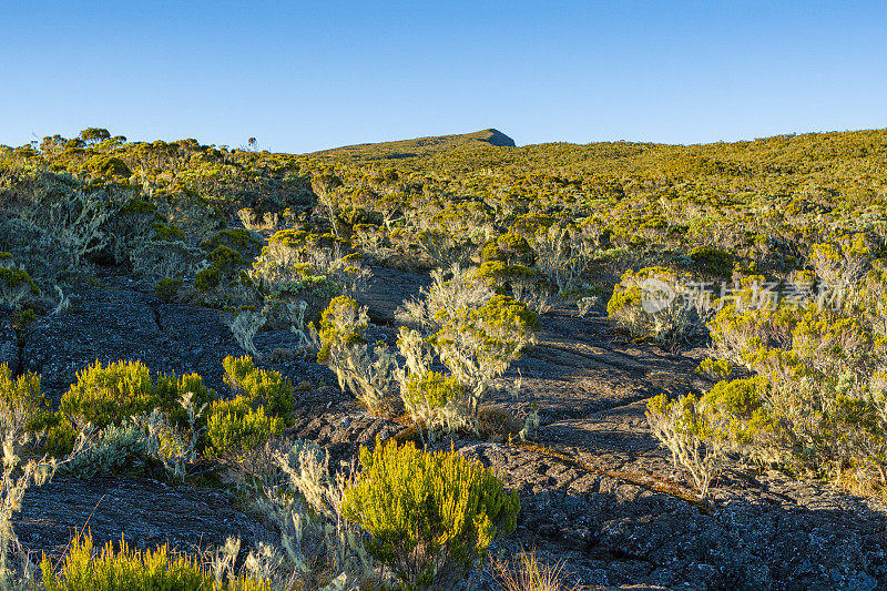 La Roche ?crite，上升的最后一部分。留尼旺岛徒步旅行路线，火山景观。